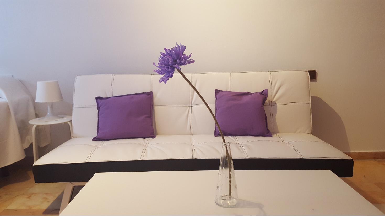 Apartamentos Dona Lola إشبيلية المظهر الخارجي الصورة